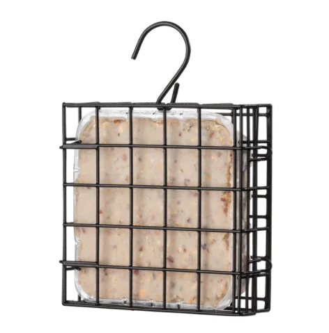 - Travel pet toy recommendationsMore Birds Suet Feeder