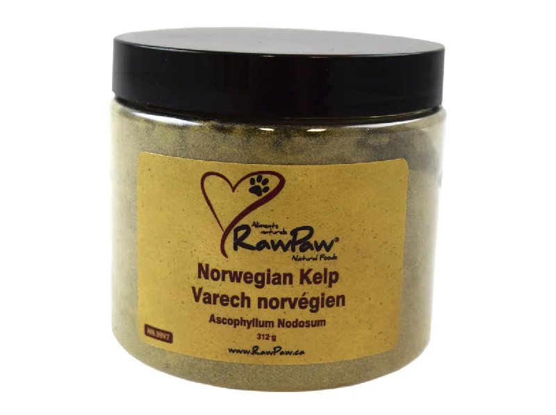 Pet toysRawPaw Norwegian Kelp