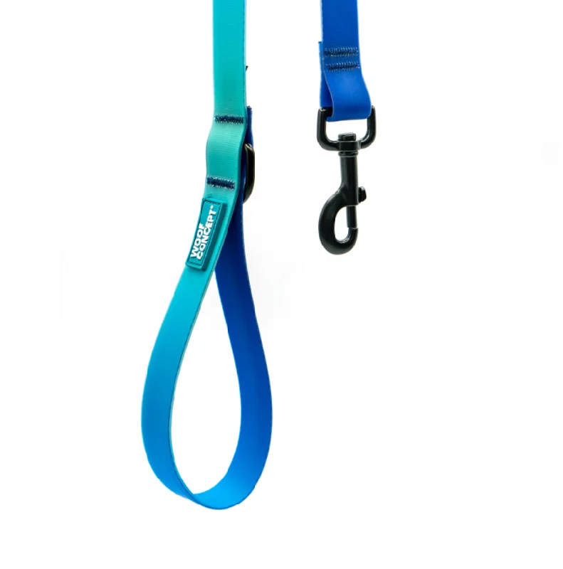 - Dog toy recommendationsWoof Concept Leash AQUA