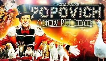 Comedy Pet Theater