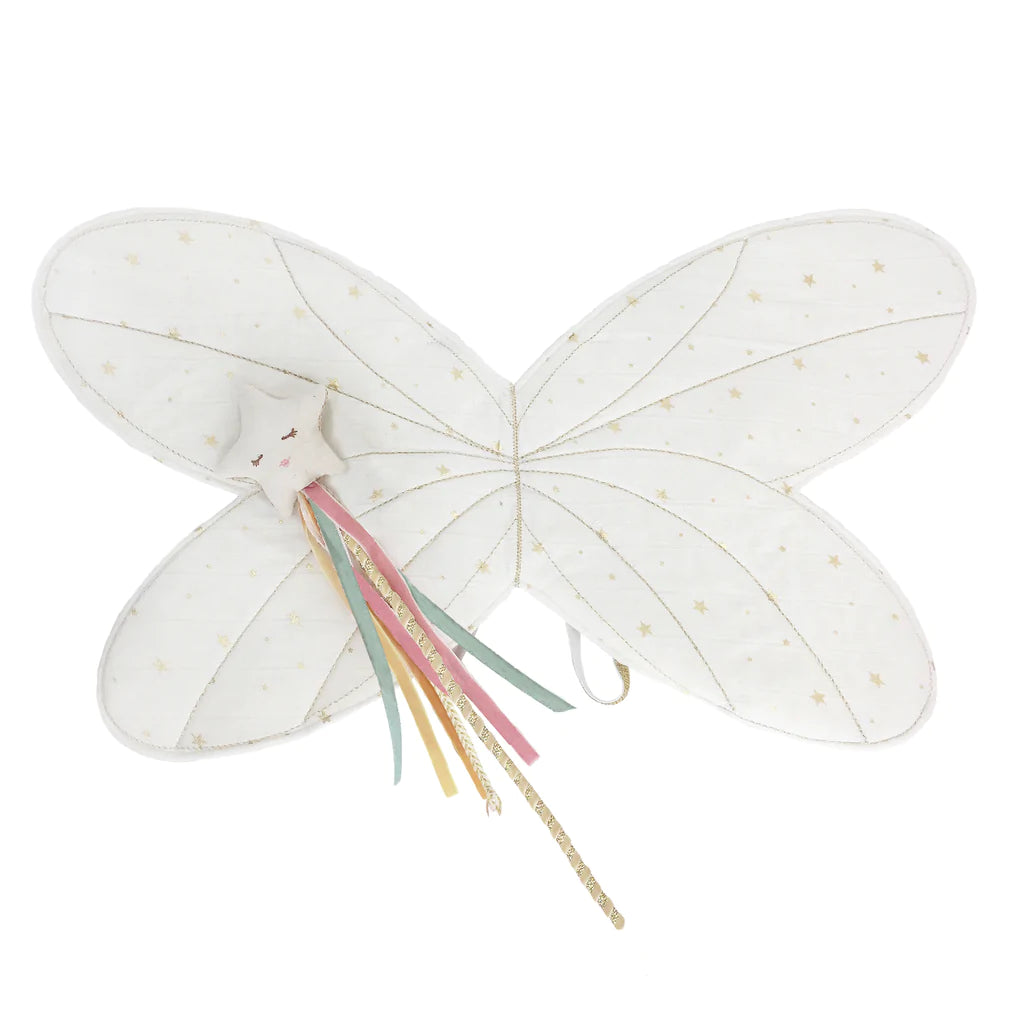 Mon Ami Fairy Wings & Star Magic Wand Set